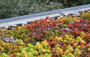 the cost of Nuthurst green roof installation