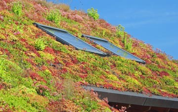Nuthurst living roof systems